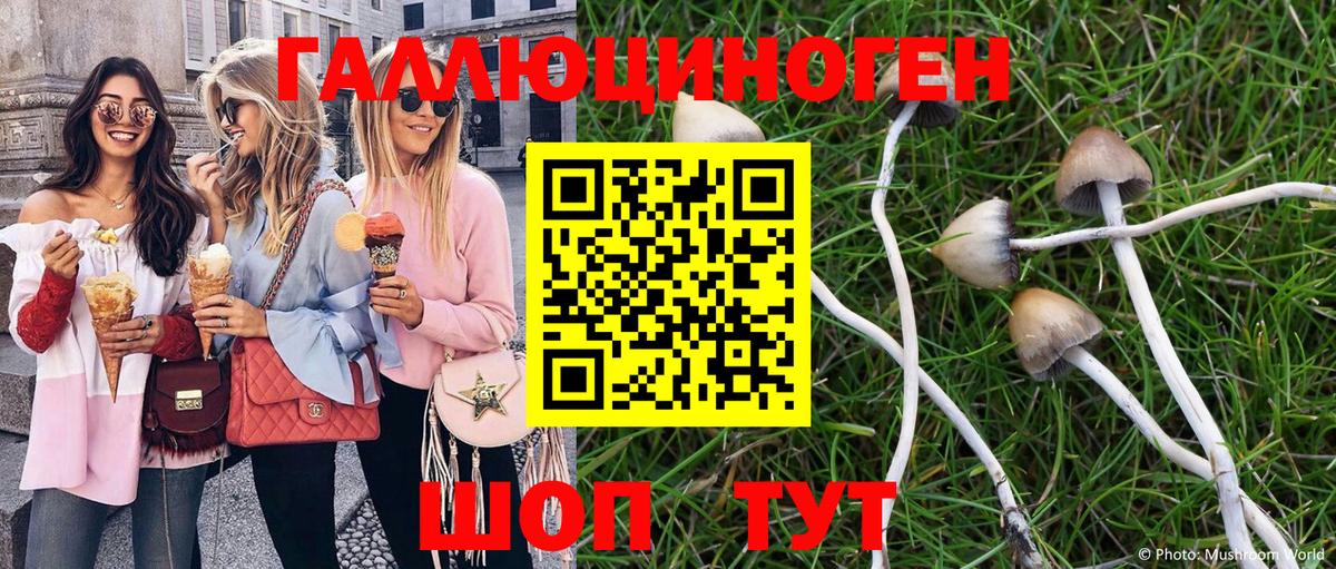 Псилоцибиновые грибы GOLDEN TEACHER  Псилоцибиновые грибы ЛСД  где продают   Вход с VPN  Муром 